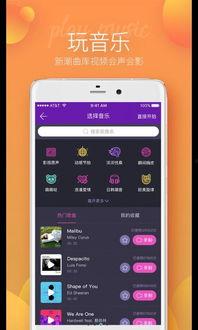 爆料短视频下载安装手机版,一键操作,轻松体验 第3张 爆料短视频下载安装手机版,一键操作,轻松体验 第3张